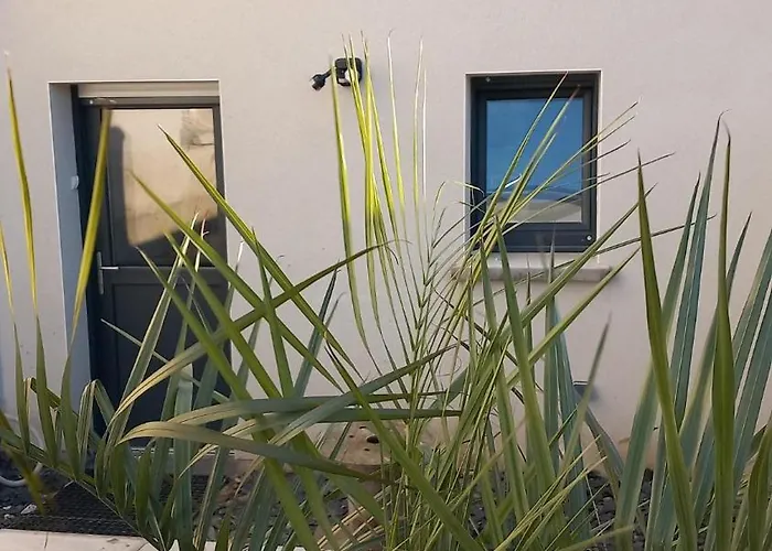 L'oasis